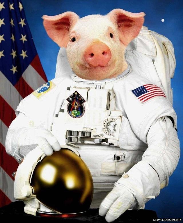 Илон Маск не стал отправлять свинью в космос