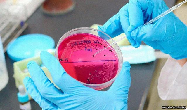 Обнаружены сальмонелла и другие бактерии в курином фарше - предупреждает Роскачество