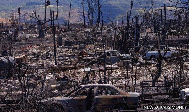 Лесные пожары на Гавайях унесли жизни 101 человека