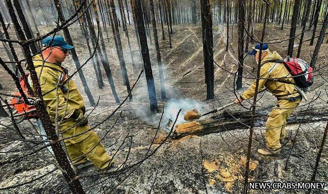 Рекордные размеры: пожары поглотили более 4 млн га в России!