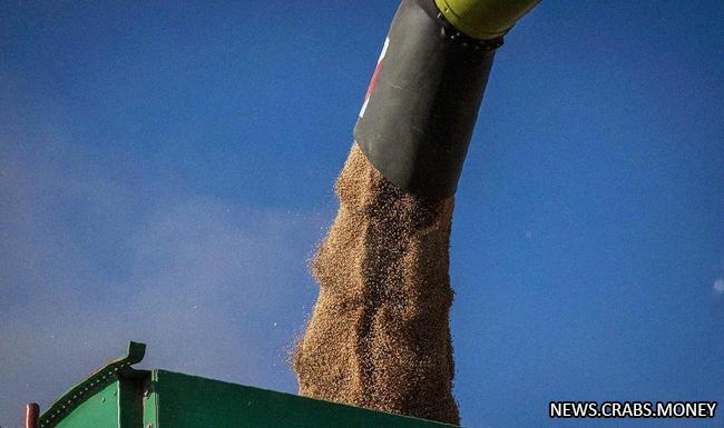 ЕС рассматривает санкции против Польши из-за зерна с Украины - RMF