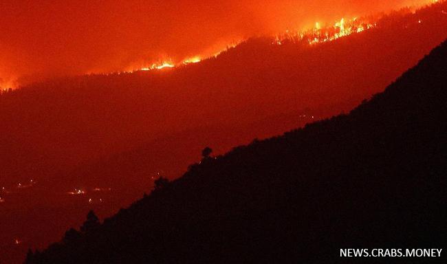 Причина длительного пожара на Тенерифе обнародована