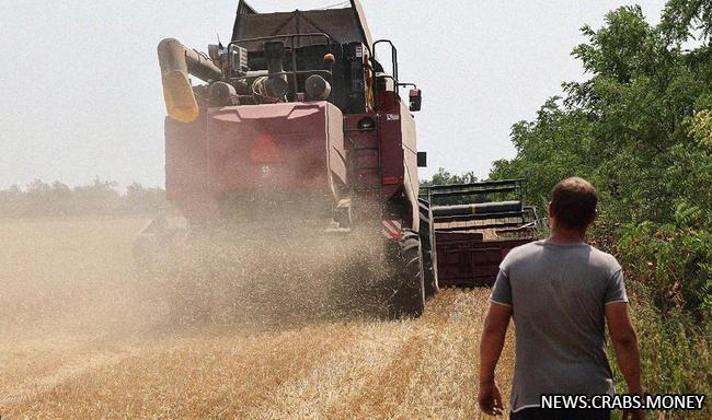 Россия готова вернуться к зерновой сделке под определенным условием
