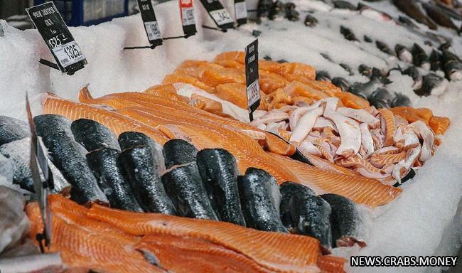 Рыболовы безбоязненно сбрасывают зараженную воду с Фукусимы в океан