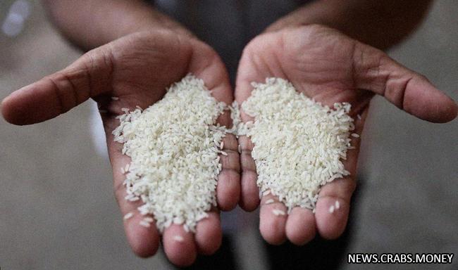 Индия ограничивает экспорт риса из-за увеличения стоимости