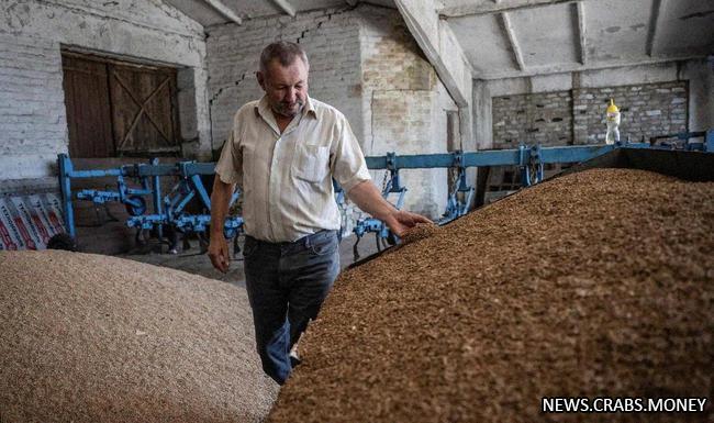 Фермеры в Украине столкнулись с трудностями на фоне падения рынка: истории и борьба