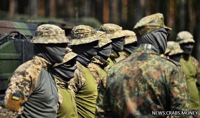 Германия предложила обучение 10 тыс. украинских военных в 2021