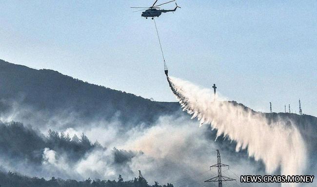 Пожар в Геленджике: показатели ликвидации самого масштабного пожара последних 8 лет