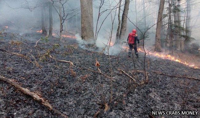 Лесной пожар в Карачаево-Черкесии разгорается на площади 3,1 га