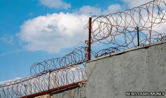 Трое заключенных бежали из колонии-поселения в Нижегородской области