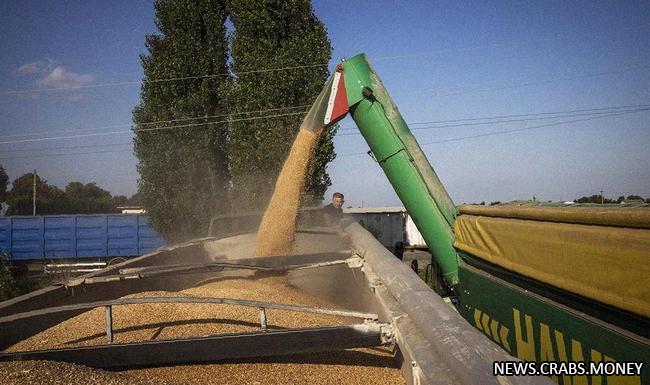Польша требует ограничений на ввоз украинского зерна