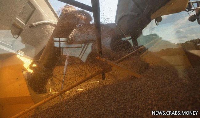 Кремль: Россия не просит искажать требования по зерновой сделке