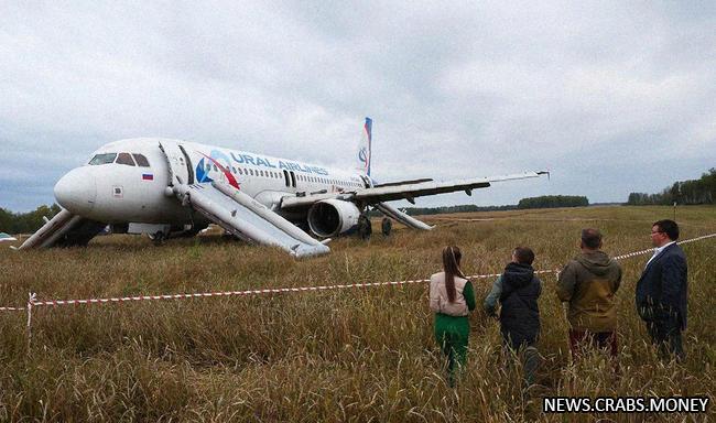 Пилот аварийного Airbus А320 получил похвалу от коллег за посадку в кукурузное поле