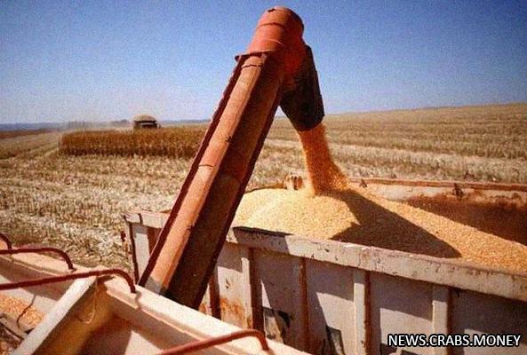 Предложения ООН о зерновой сделке не нарушают санкции