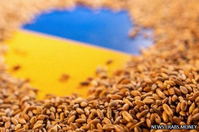 Украина подает в суд на Польшу, Венгрию и Словакию из-за запрета на ввоз украинского зерна