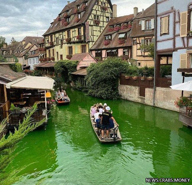 Зеленый поток: активисты во Франции убили рыбу в фонтанах