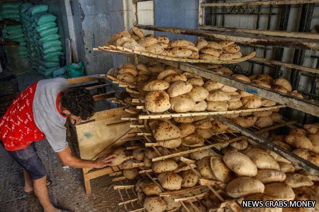 Египет отказывается от российской пшеницы в пользу Франции и Болгарии.