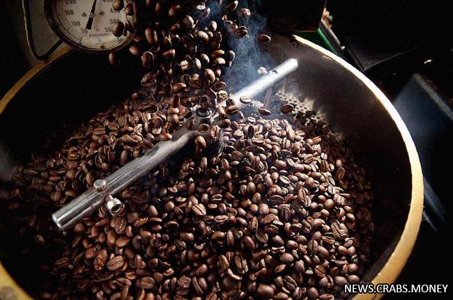 Эфиопия запретила экспорт кофе - посольство РФ в Аддис-Абебе