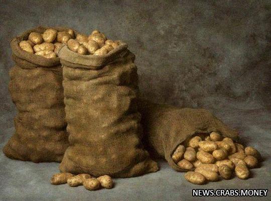 Двое молодых парней во Владивостоке погибли от отравления гнилым картофелем.