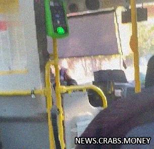 Водитель автобуса лишил премии за просмотр порно за рулем