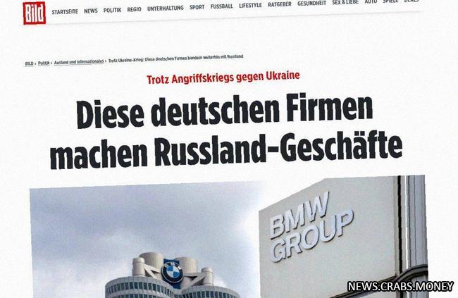 Немецкие компании продолжают работать в России и пополнять бюджет: 379 млн