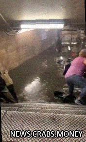 Нью-Йорк в шоке: сильный ливень привел к затоплению метро и дорог