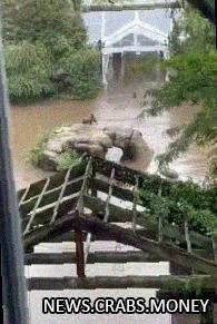 Морские львы Нью-Йоркского зоопарка сбежали во время наводнения.