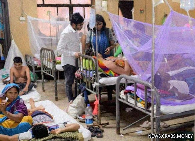 Эпидемия вируса денге в Бангладеш: жертвы увеличиваются
