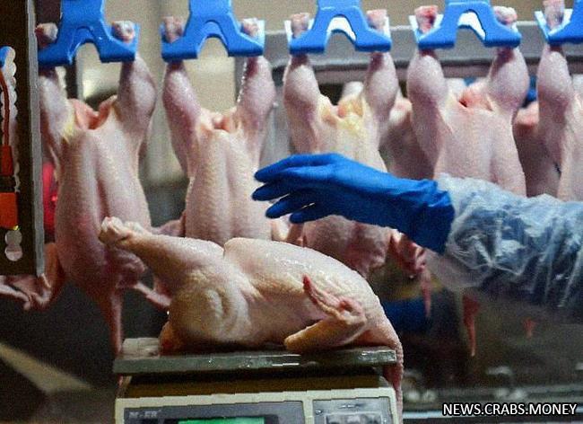 ФАС России направляет запросы о ценах к производителям мяса курицы