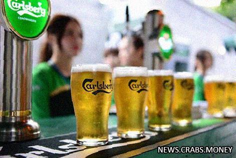 Carlsberg расторгает соглашения с "Балтикой" о производстве пива.
