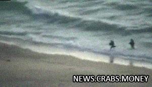 Боевые пловцы "Бригад Изз ад-Дина аль-Кассама" высаживаются на побережье Израиля