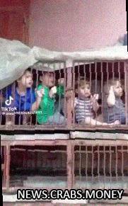 Палестинцы смеются над еврейскими детьми в клетках: видео вызывает споры