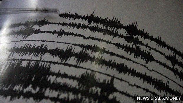 Сильное землетрясение магнитудой 4,6 на Камчатке