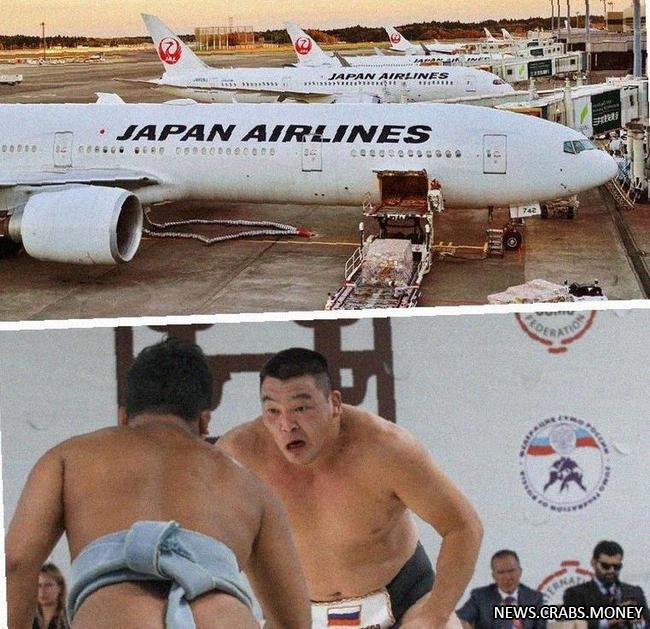 Японские сумоисты разделились на два самолета из-за перевеса
