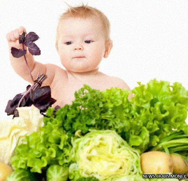 Запрет на вегетарианство и сыроедение для детей до 18 лет: новый законопроект в Госдуме.