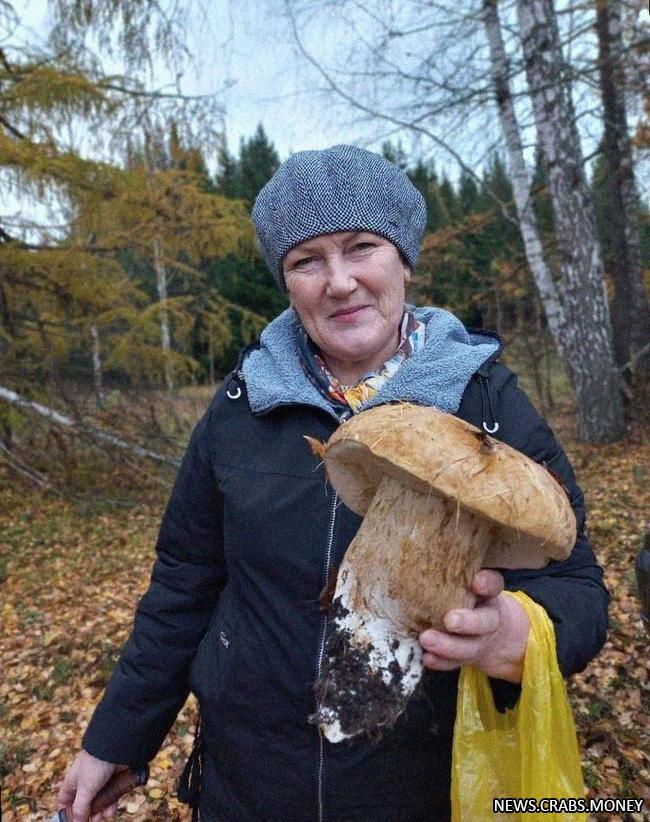 Грибы в России: найден гигантский белый гриб весом почти килограмм