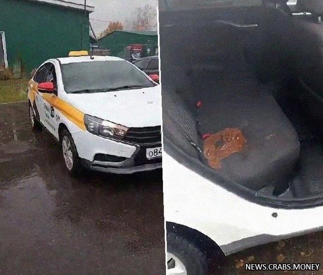 Пассажир оставил неприятный "подарок" в такси и скрылся с места происшествия