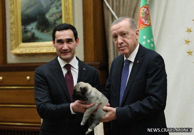 Президенты Турции и Туркменистана обменялись щенками алабая и кангала