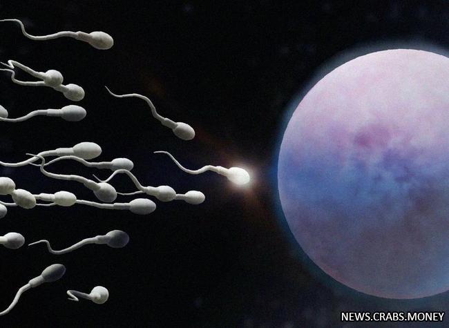 Сперматозоиды и водоросли нарушают законы физики, говорят японские ученые