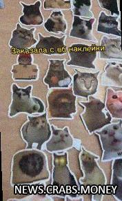 Учительница из Якутии наклеивает котиков вместо оценок