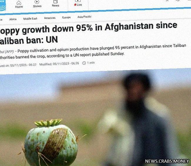 Талибан сократил выращивание мака в Афганистане на 95%  ООН.