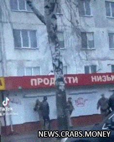 Мужчина избил работника военкомата в Житомире на улице