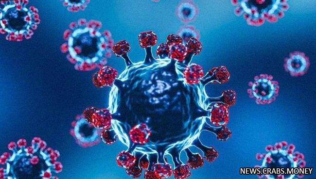 Вариант "Пирола" коронавируса обнаружен в Москве из Турции