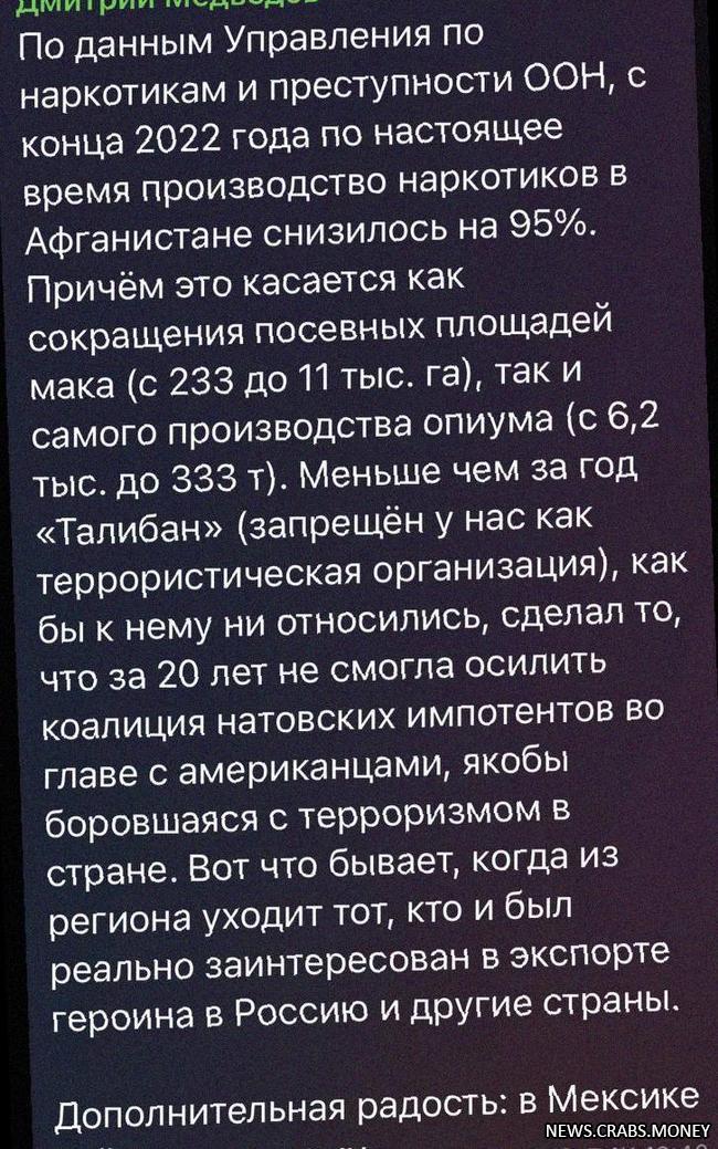 Талибан покорил Афганистан: Медведев о наркотиках