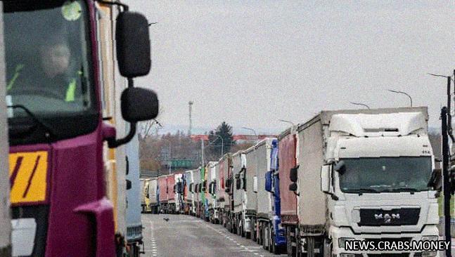 Трагическая смерть водителя на границе с Польшей во время забастовки перевозчиков