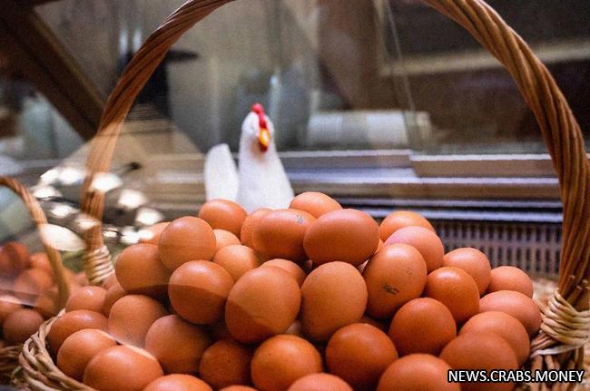 Цена яиц достигает справедливого уровня, говорит директор птицефабрики