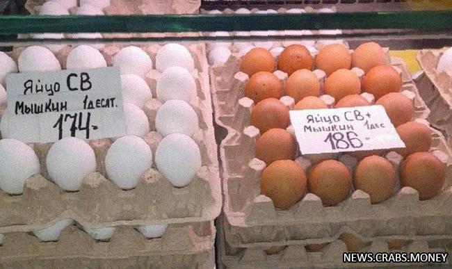Цены на яйца в России падут весной 2024 года при успешных правительственных мерах, сообщил сенатор