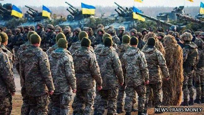 Зеленский планирует мобилизовать 500 тысяч украинцев для контрнаступления на Крым