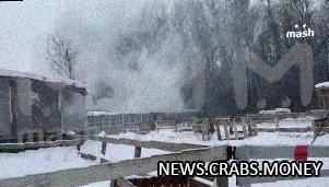 Поджог причиной пожара на конюшне "Волшебный лес" в Москве, погибло 16 лошадей
