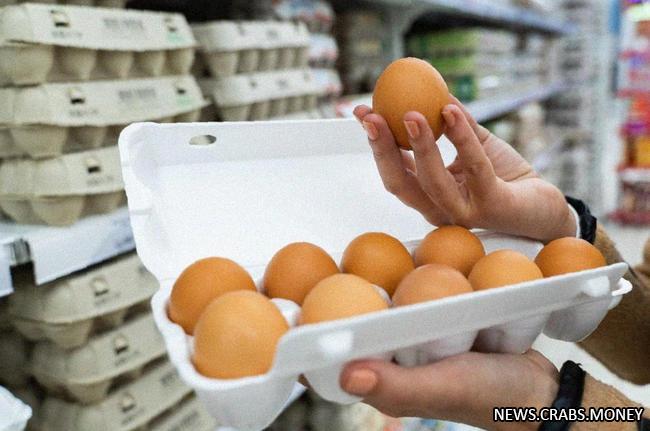 Резкий рост цен на яйца в регионах России: кто лидирует, а кто оказался на последнем месте?